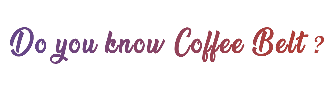 coffee belt 1