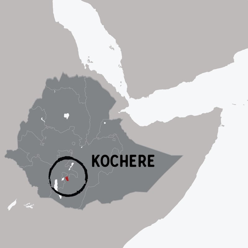 ca phe ethiopia yirgacheffe kochere 10