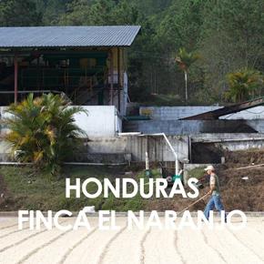 ca phe honduras coe 2