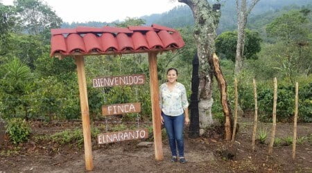 ca phe honduras lot 1 coe 1