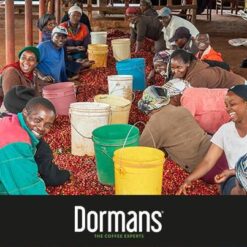 ca phe kenya kimabu aa dormans