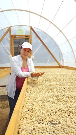 cup of excellence honduras 10