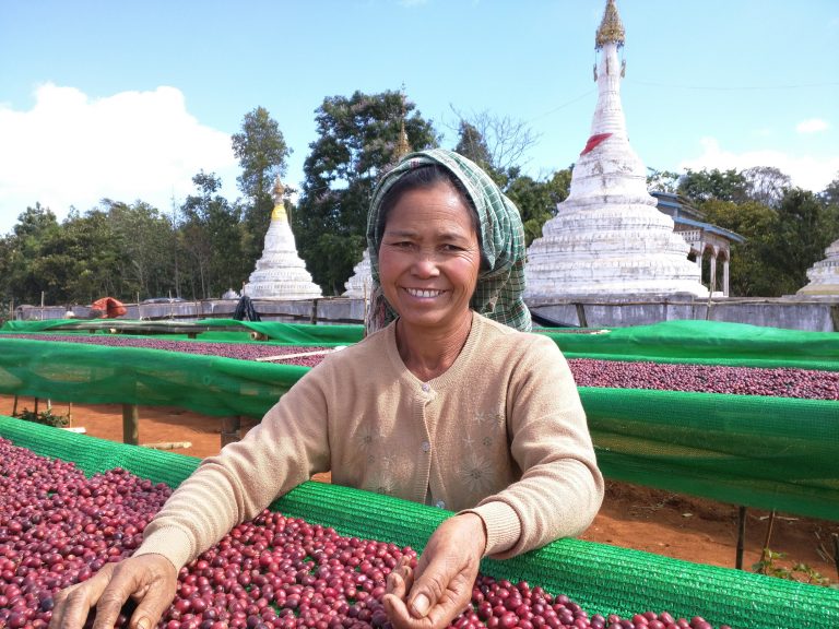ca phe myanmar salween torch 7