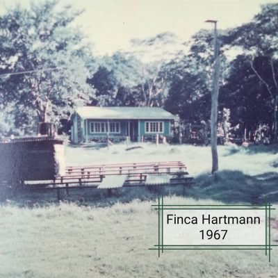 tra cascara geisha panama nong trai hartmann 20