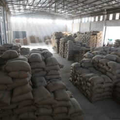 ca phe ethiopia aricha 7