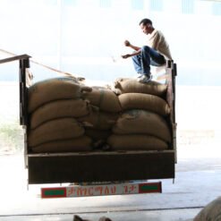 ca phe ethiopia aricha 8