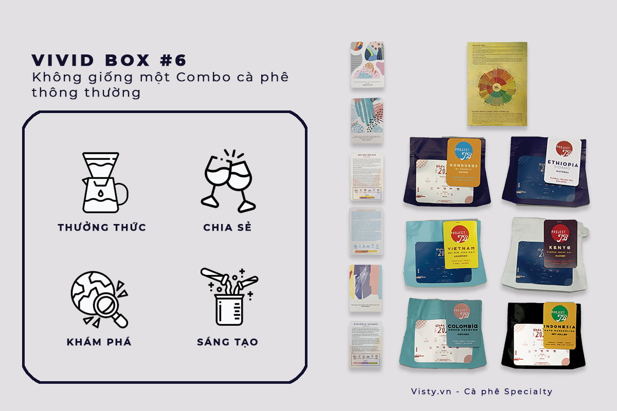 combo ca phe 3 chau luc vivid box 1