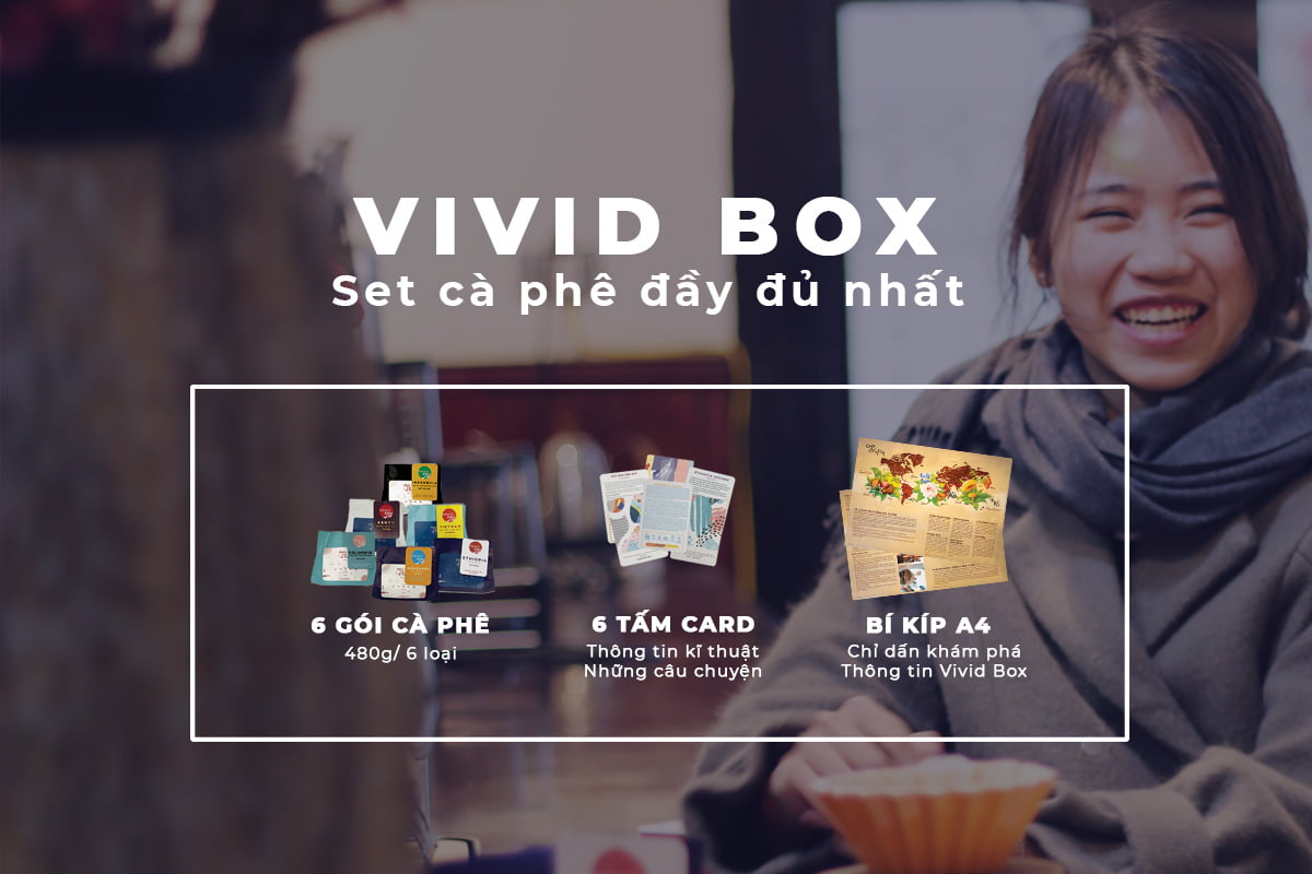 combo ca phe 3 chau luc vivid box 3
