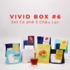 combo ca phe 3 chau luc vivid box avt