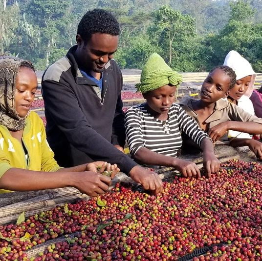 ca phe ethiopia aricha
