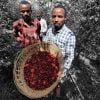ca phe ethiopia buku abel