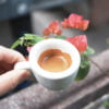 coc espresso single shot