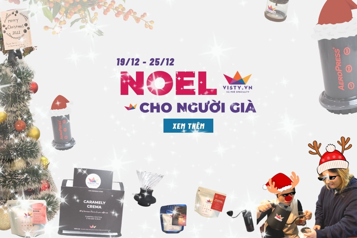 noel 2022 banner