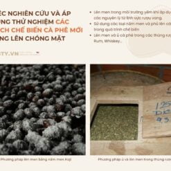 ca phe ethiopia yirgacheffe