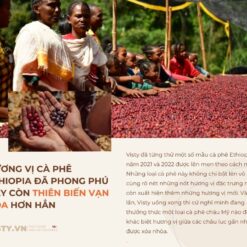 ca phe ethiopia yirgacheffe