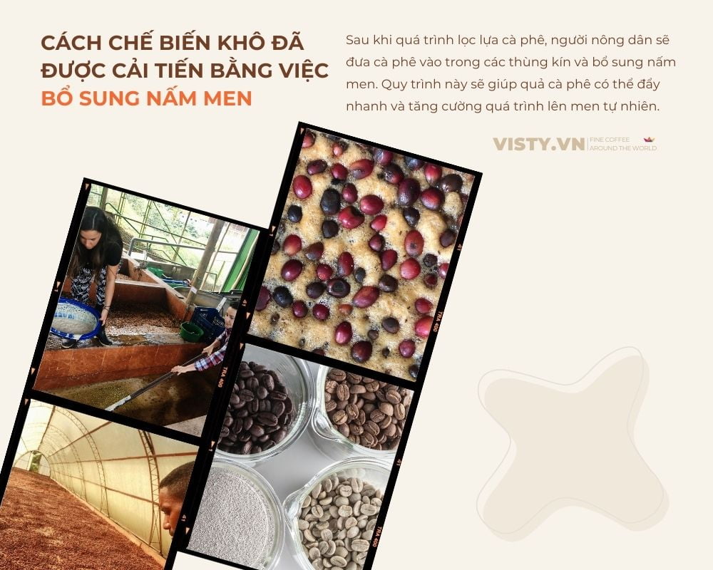 ca phe ethiopia yirgacheffe