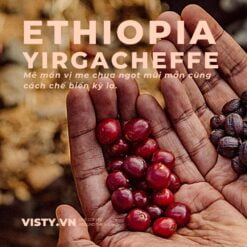 ca phe ethiopia yirgacheffe