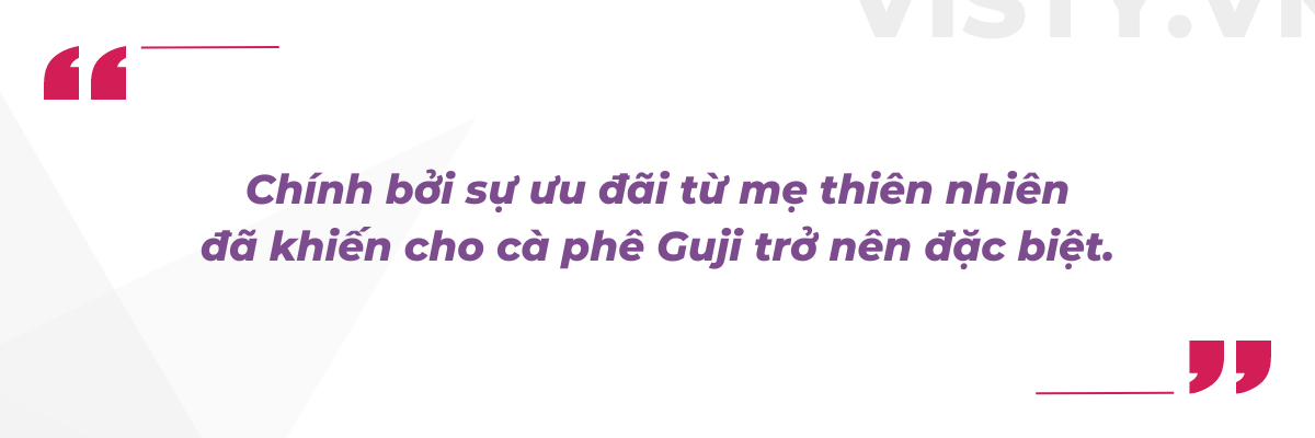 ca phe ethipia guji vi cam ngot 2