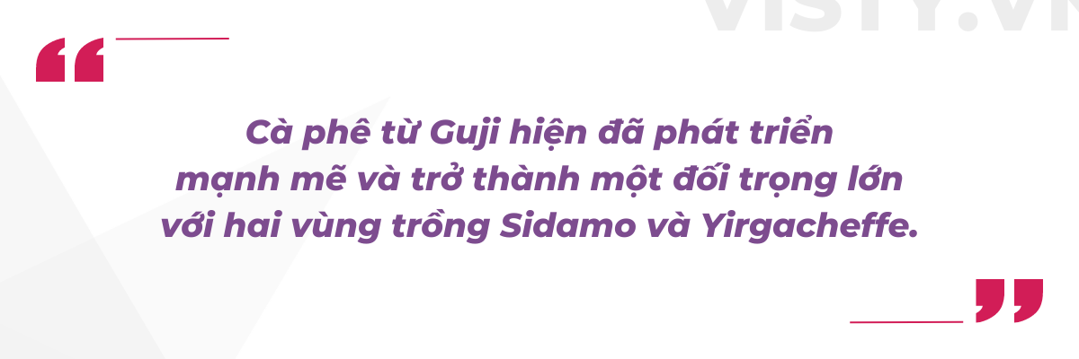 ca phe ethipia guji vi cam ngot 7