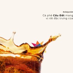 huong-vi-arabica-cau-dat-tha1