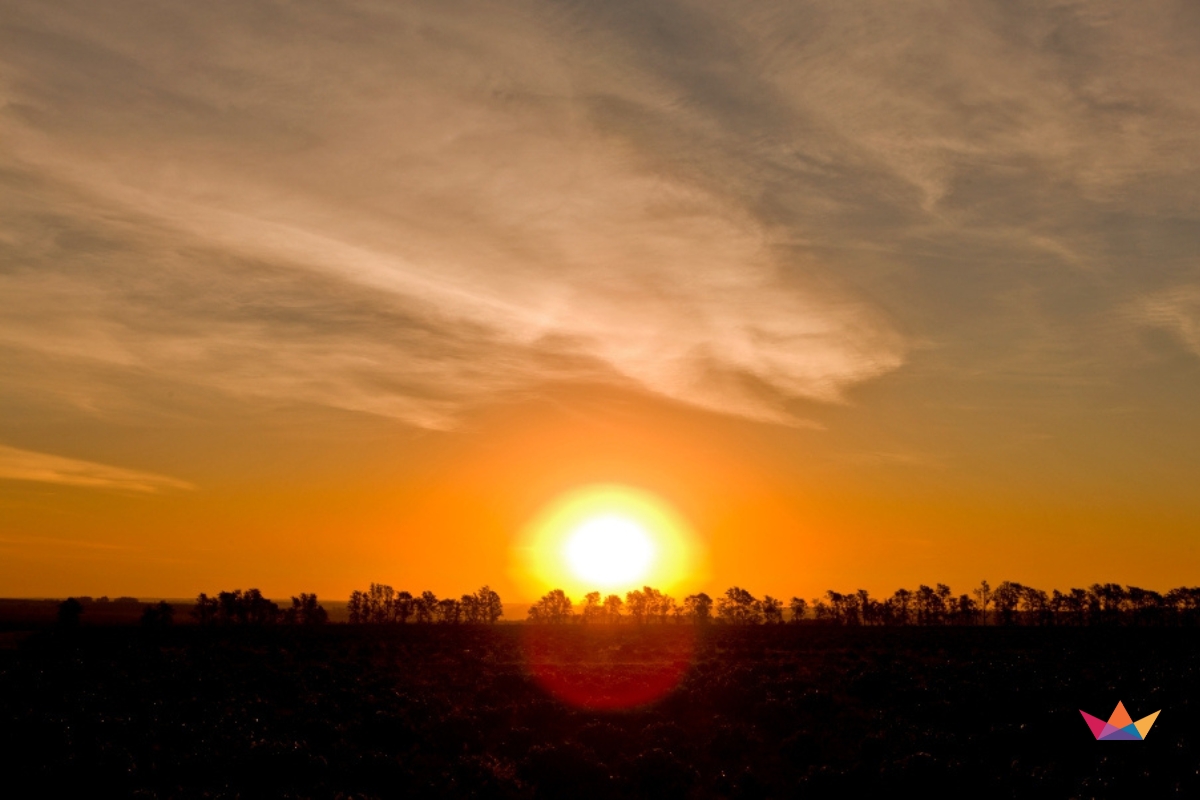 ca phe brazil daterra summer solstice nho xanh 10