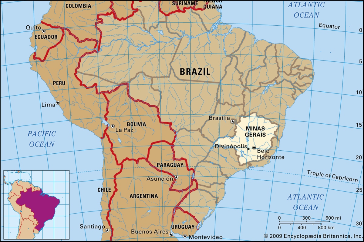 ca phe brazil daterra summer solstice nho xanh 4
