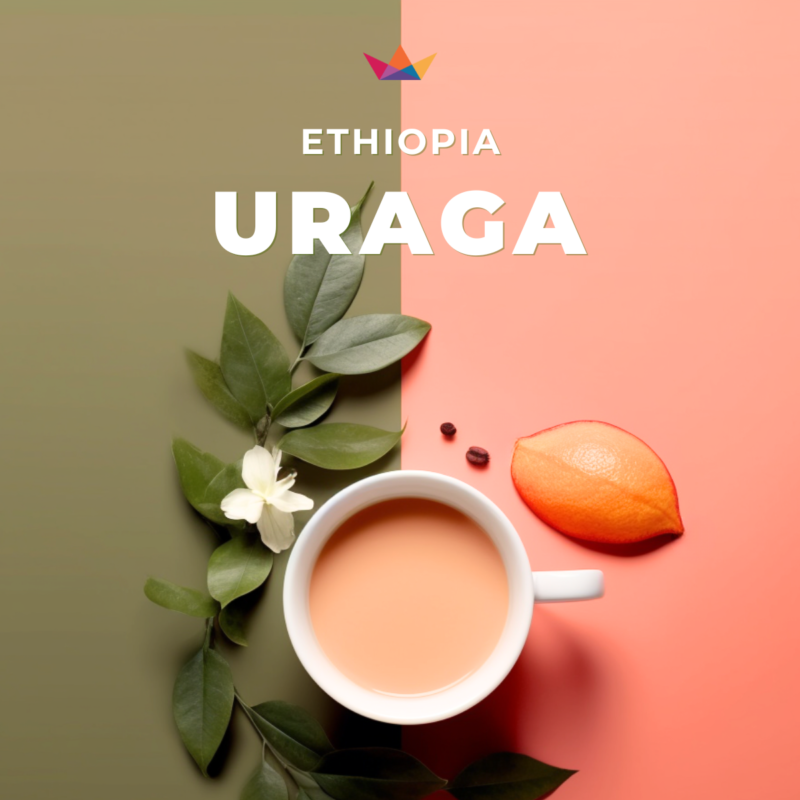 avatar-ethiopia-uraga