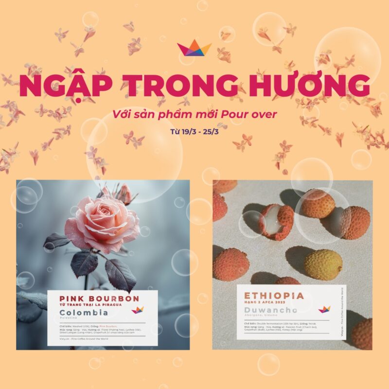 Banner chuong trinh uu dai 6