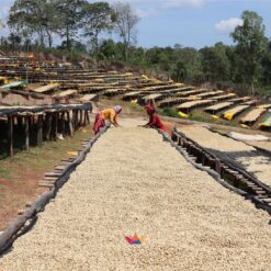 Ethiopia-Duwancho-1-1