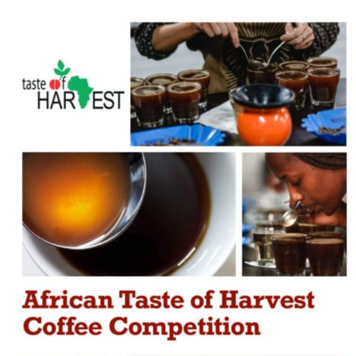 Ethiopia-Aricha-TOH-01