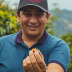 ca phe colombia pink bourbon piragua 7