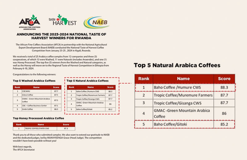ca phe rwanda visty baho coffee 10