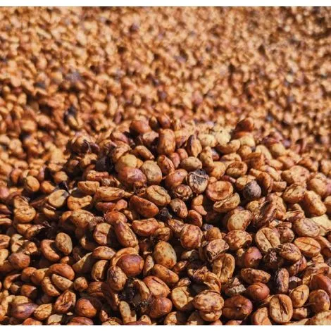 ca phe costa rica catuai red 2