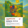costa rica tarrazu avt