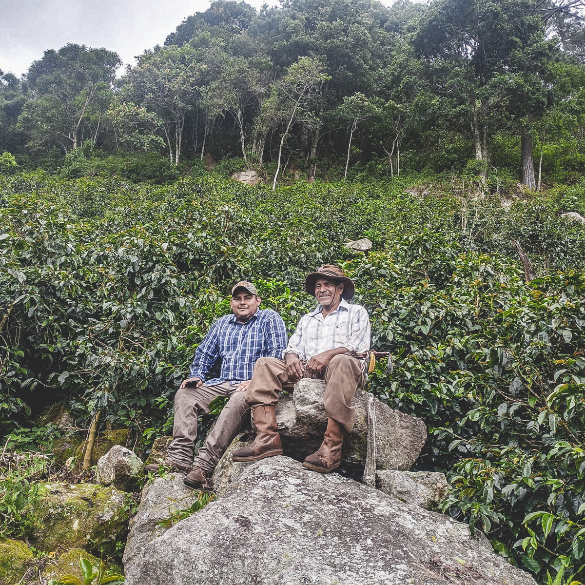 Ca phe Honduras El Jardin 03