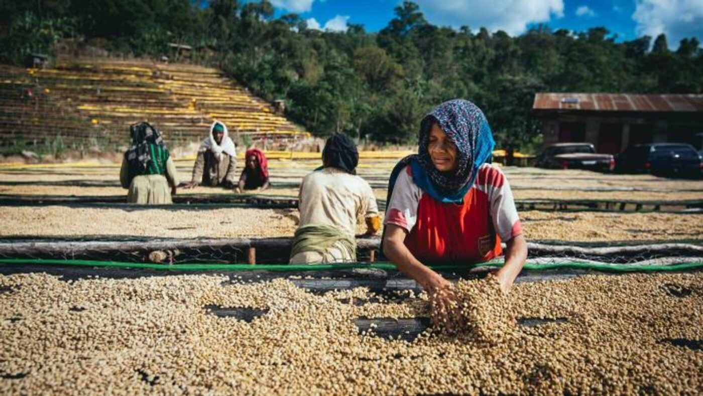 Ethiopia yirgacheffe botabaa