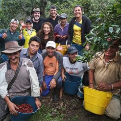 colombia tres dragon 04